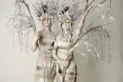 Winter Birch Trees