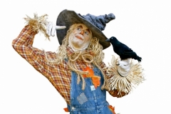 scarecrow