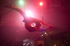 Aerialist