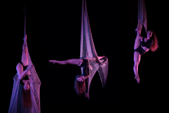 Net Aerials