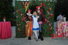Alice in Wonderland