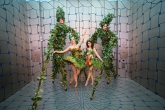 Vine Stilts